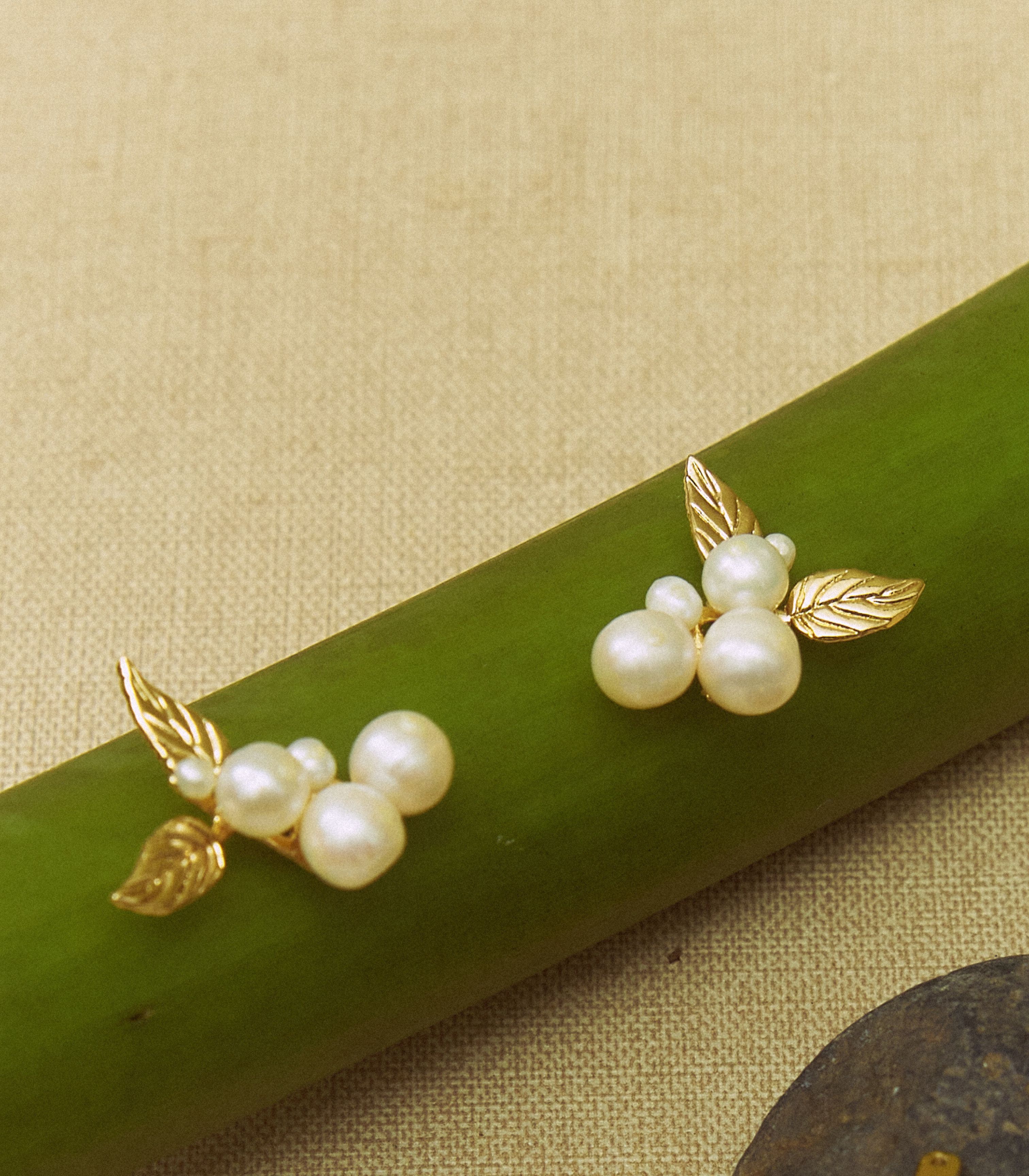 Ara Earrings in Pearl - Lily Jewelry